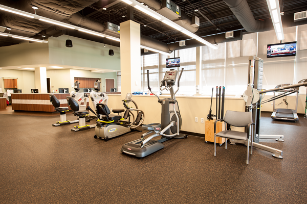 Sports Medicine and Rehabilitation Physical Therapy Equipment