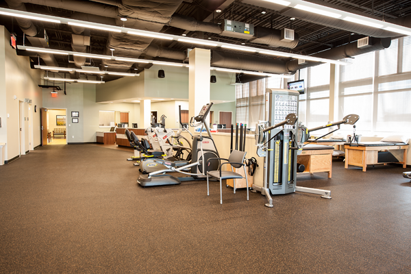 Sports Medicine and Rehabilitation Physical Therapy Equipment