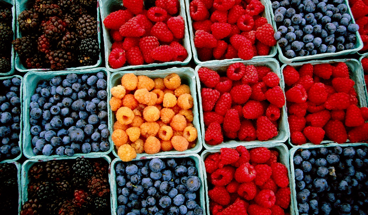 An assortment of multi-colored raspberries and blueberries on display.