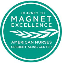 Journey to Magnet seal logo