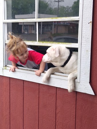 CDH patient Aryah and dog