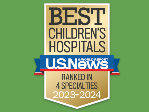US News Rankings Badge