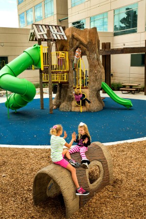 Kids playing at Wolf Park Playground