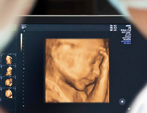 Children's Fetal Center Journal