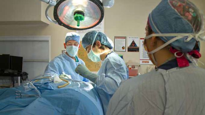 Spine surgeon operating