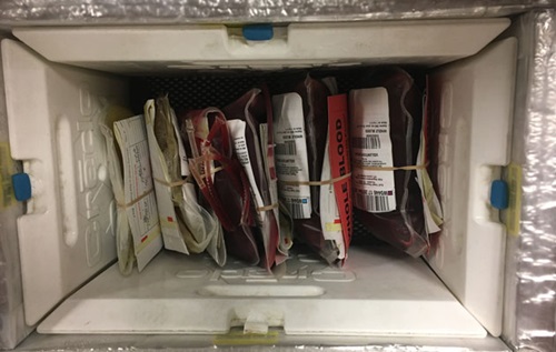 Whole blood storage kit